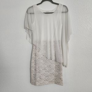 Enfocus Petite white and tan lace dress size 6P